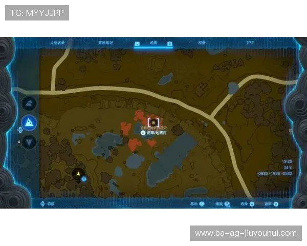 帕拉伊索FC崛起之路：探秘球队传奇与未来发展蓝图全面解读新篇